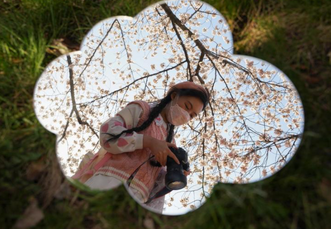 امرأة تستخدم مرآة بشكل إبداعي لتصوير أزهار الكرز