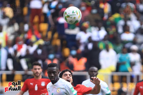 مباراة مصر والسنغال (18)