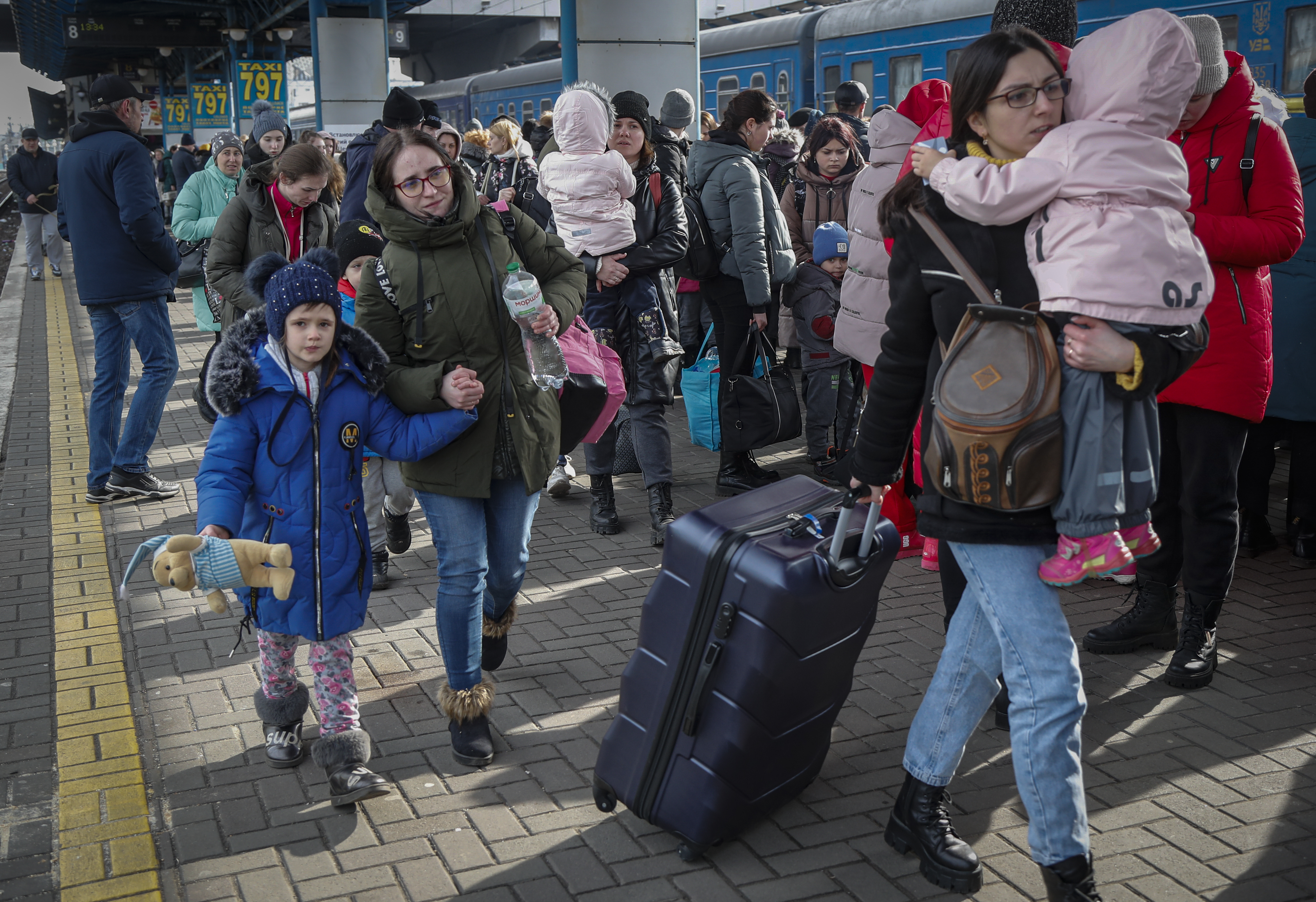 الهروب من الحرب في أوكرانيا (14)