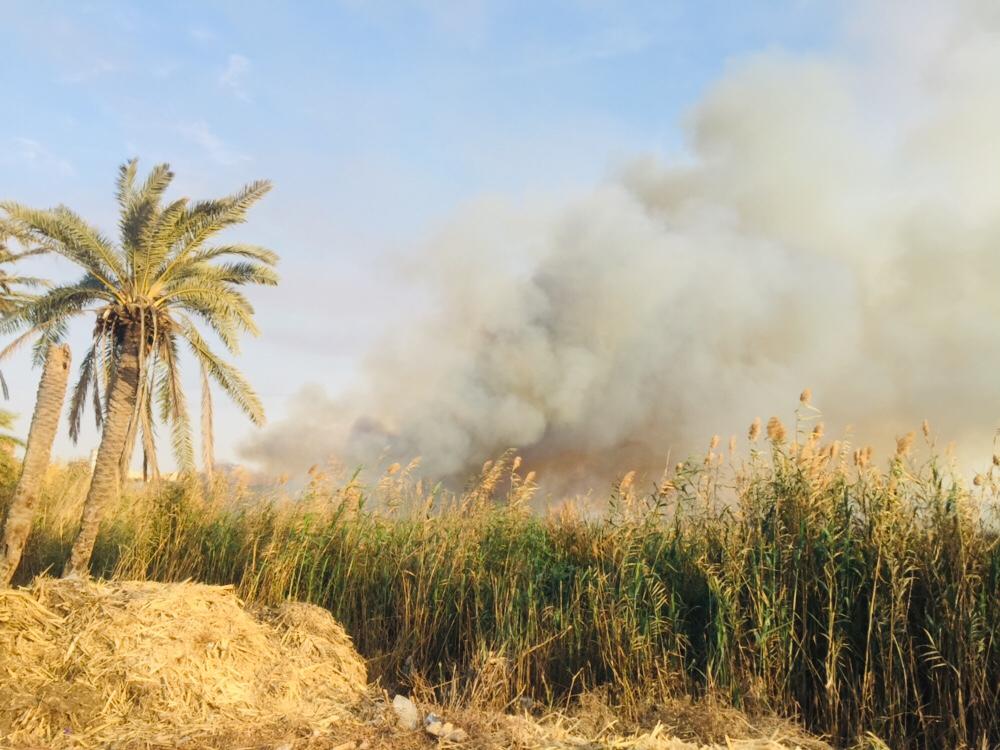 حريق هائل داخل أرض زراعية فى الإسماعيلية (19)