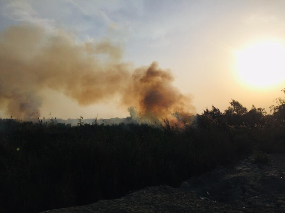 حريق هائل داخل أرض زراعية فى الإسماعيلية (8)