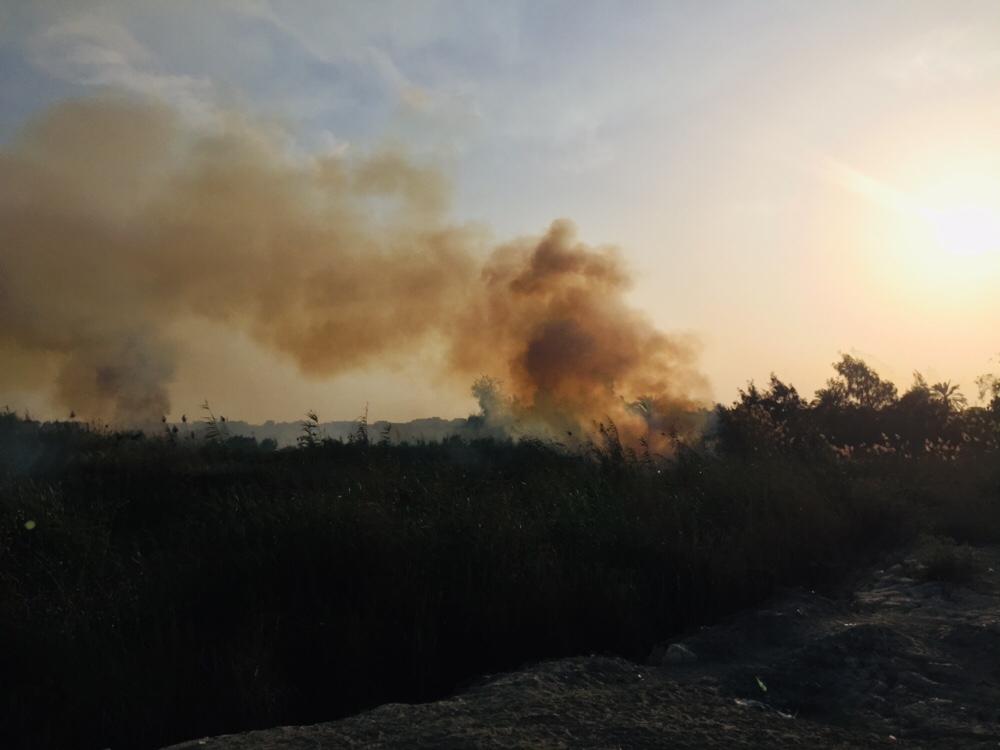حريق هائل داخل أرض زراعية فى الإسماعيلية (6)