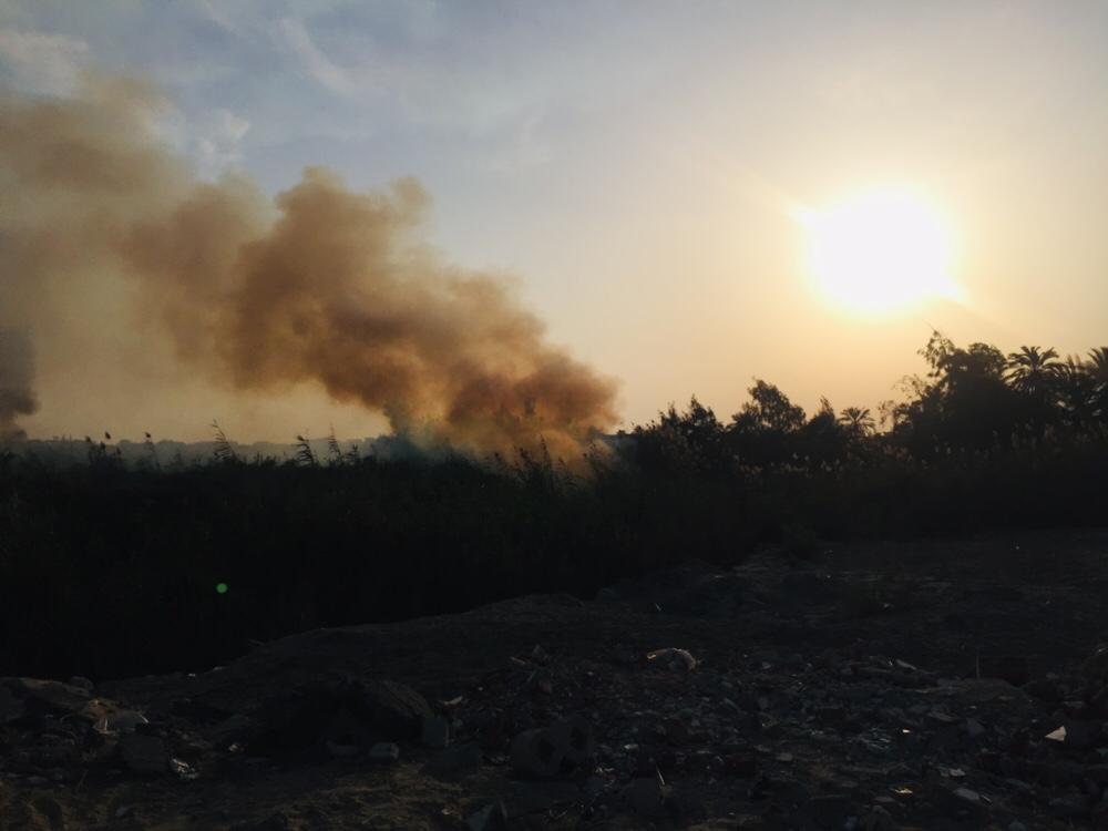 حريق هائل داخل أرض زراعية فى الإسماعيلية (23)
