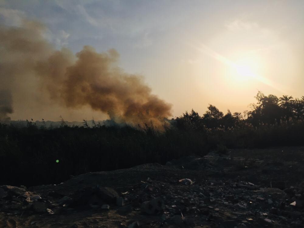 حريق هائل داخل أرض زراعية فى الإسماعيلية (16)