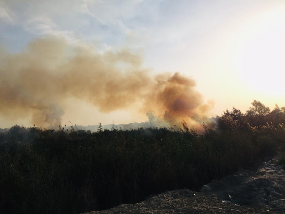 حريق هائل داخل أرض زراعية فى الإسماعيلية (11)