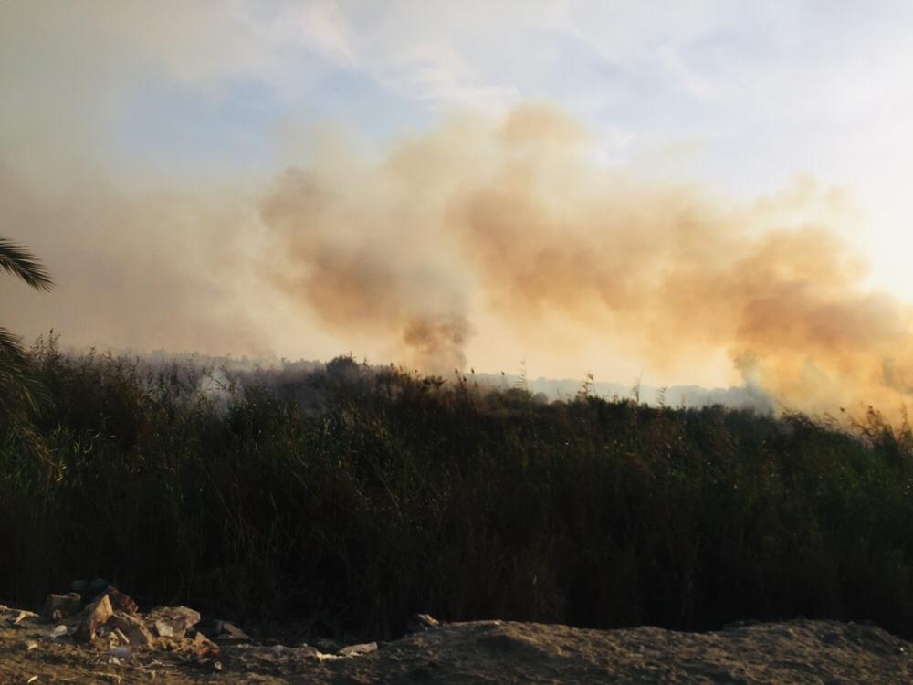 حريق هائل داخل أرض زراعية فى الإسماعيلية (14)