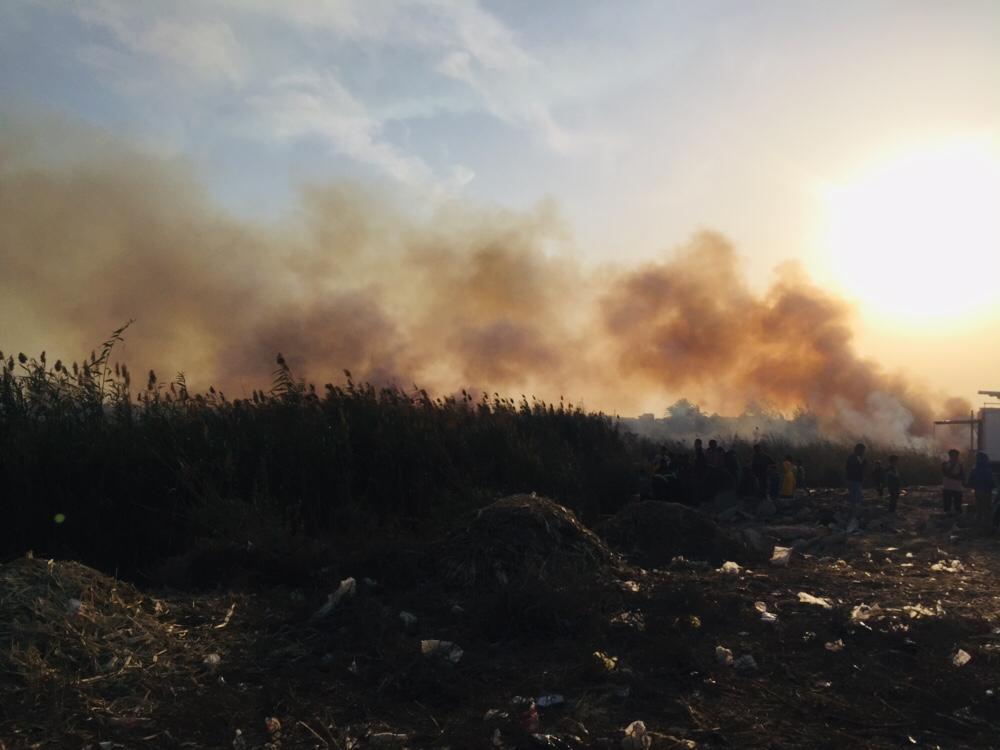 حريق هائل داخل أرض زراعية فى الإسماعيلية (20)