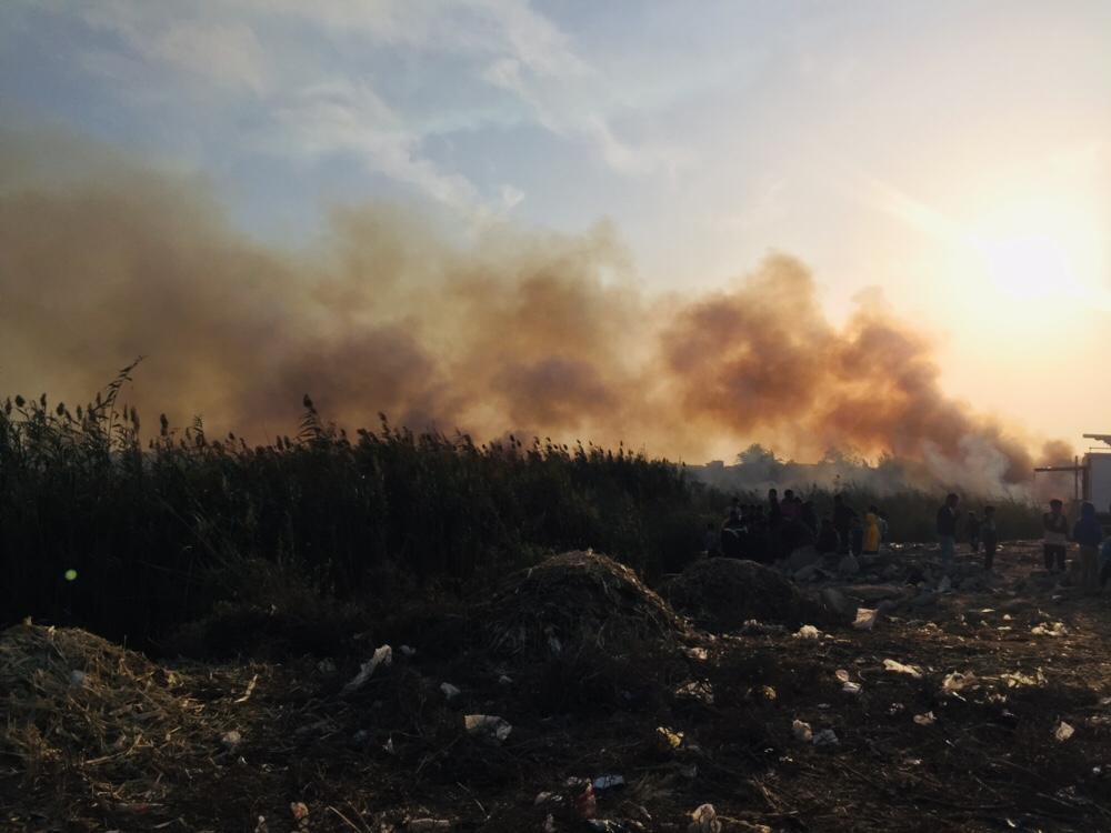حريق هائل داخل أرض زراعية فى الإسماعيلية (21)