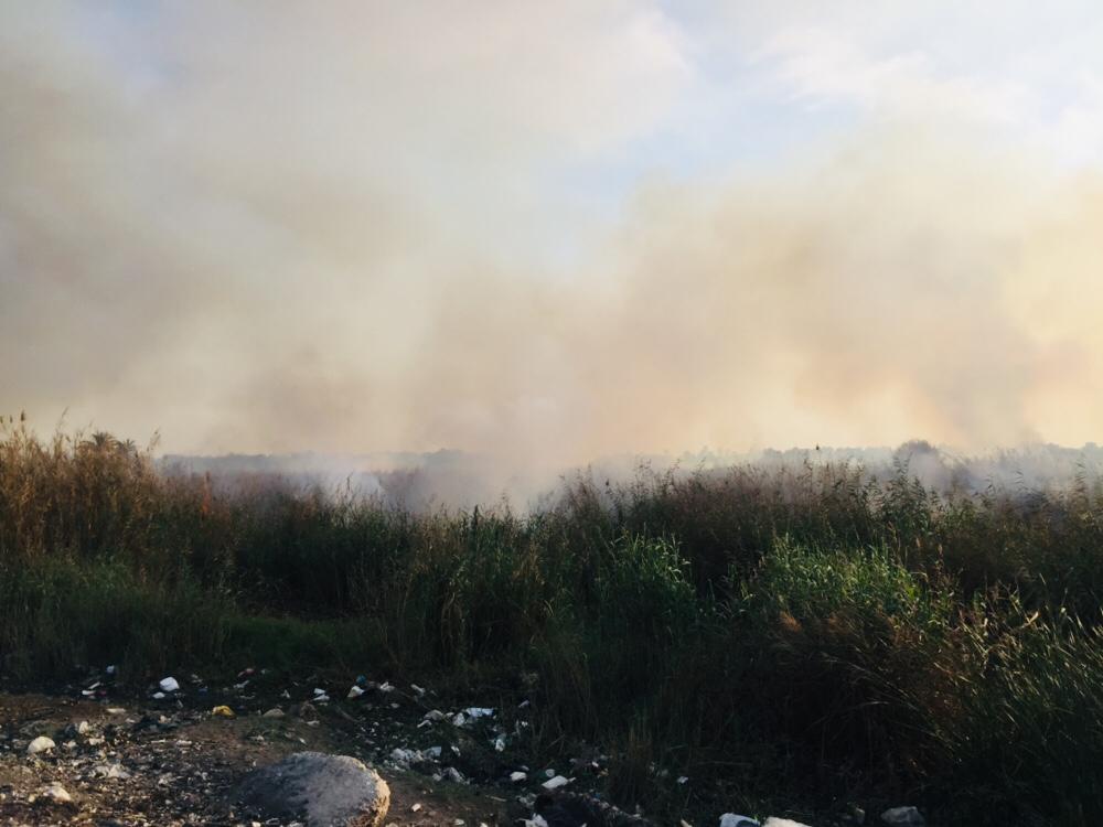 حريق هائل داخل أرض زراعية فى الإسماعيلية (3)