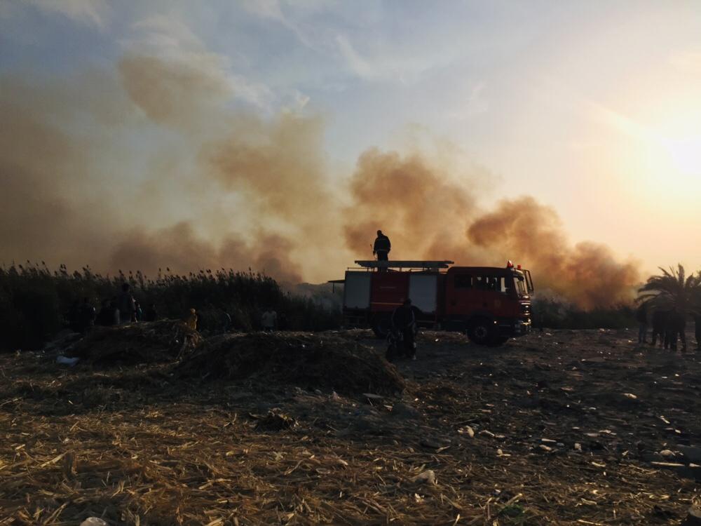 حريق هائل داخل أرض زراعية فى الإسماعيلية (18)