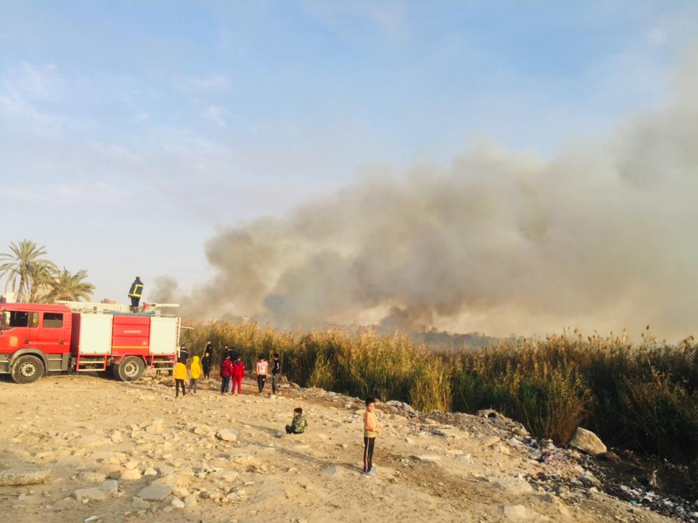 حريق هائل داخل أرض زراعية فى الإسماعيلية (4)