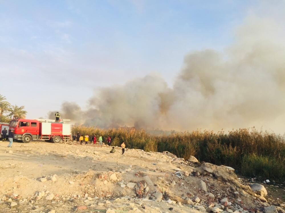 حريق هائل داخل أرض زراعية فى الإسماعيلية (1)