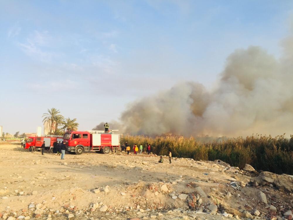 حريق هائل داخل أرض زراعية فى الإسماعيلية (9)