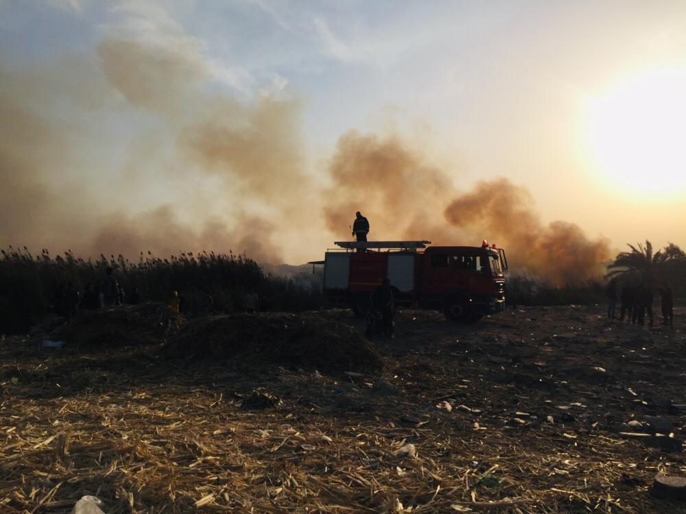 حريق هائل داخل أرض زراعية فى الإسماعيلية (17)