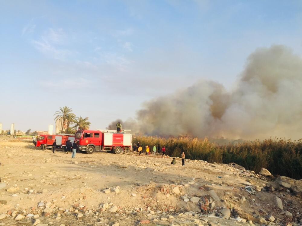 حريق هائل داخل أرض زراعية فى الإسماعيلية (7)