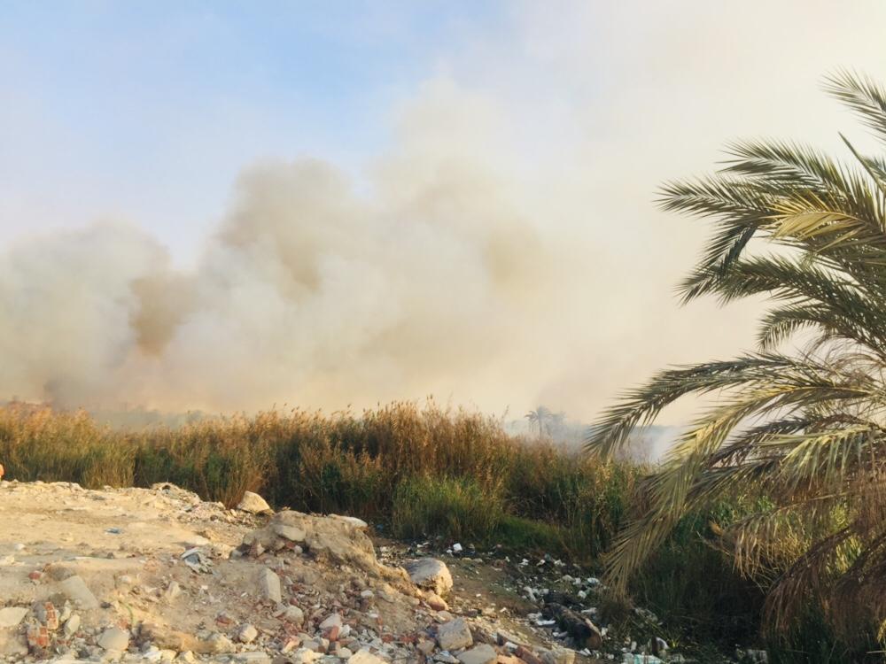 حريق هائل داخل أرض زراعية فى الإسماعيلية (2)
