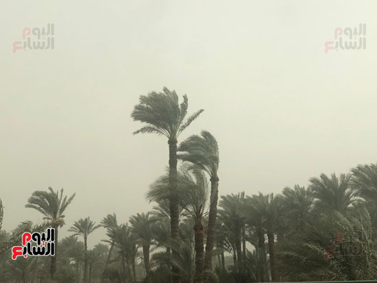 العواصف الترابية (2)