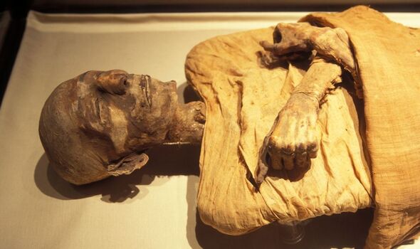 The-Royal-mummy-of-Merneptah-3947083