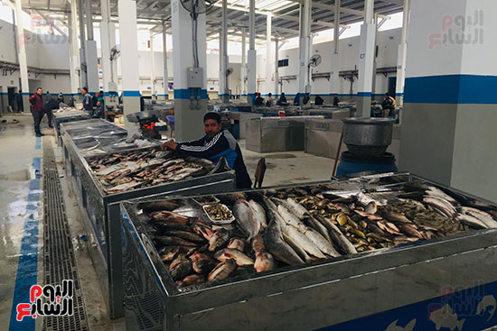 جانب-من-افتتاح-سوق-الأسماك-المتطور-الجديد-بالإسماعيلية-(2)