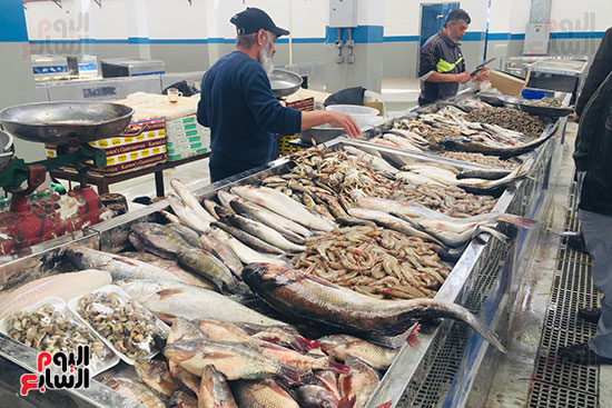 افتتاح-سوق-الأسماك-المتطور-الجديد-بالإسماعيلية-(3)