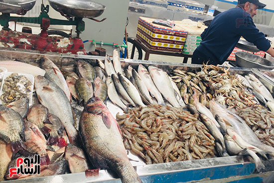 افتتاح-سوق-الأسماك-المتطور-الجديد-بالإسماعيلية-(1)