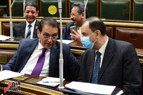 مجلس النواب (5)