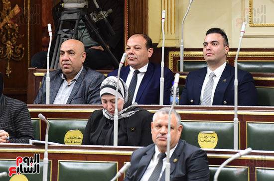 مجلس النواب (7)