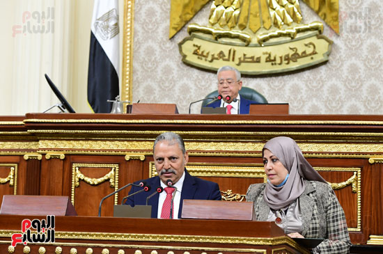 مجلس النواب (2)