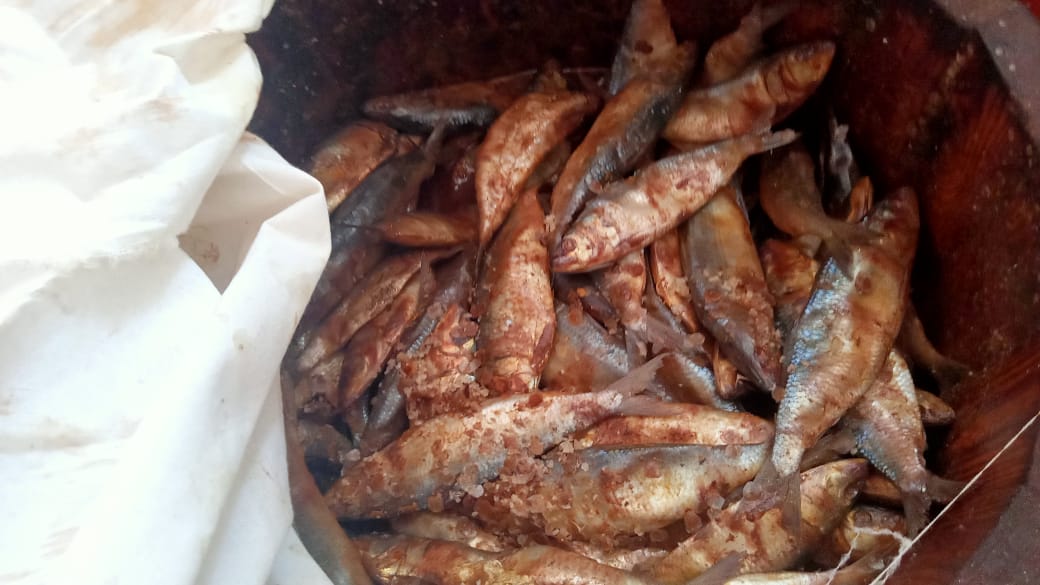 فسيخ غير صالح