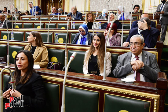 مجلس النواب (21)