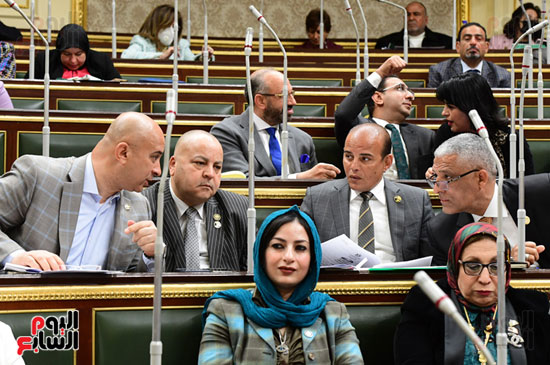 مجلس النواب (22)