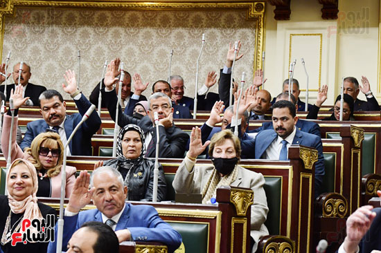 مجلس النواب (15)