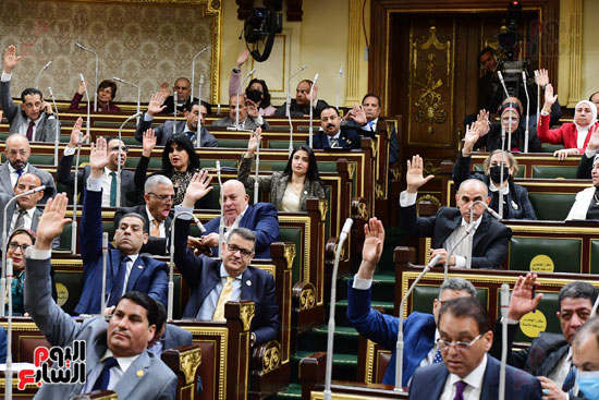 مجلس النواب (16)