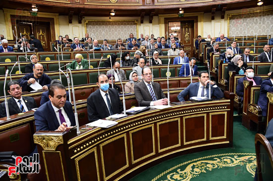 مجلس النواب (11)