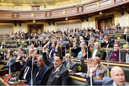 مجلس النواب (12)