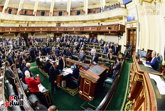 مجلس النواب (17)