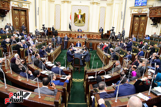 مجلس النواب (10)