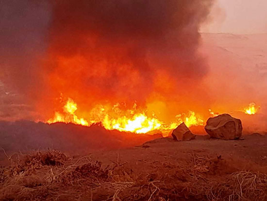 حريق بمحمية سالوجا (2)