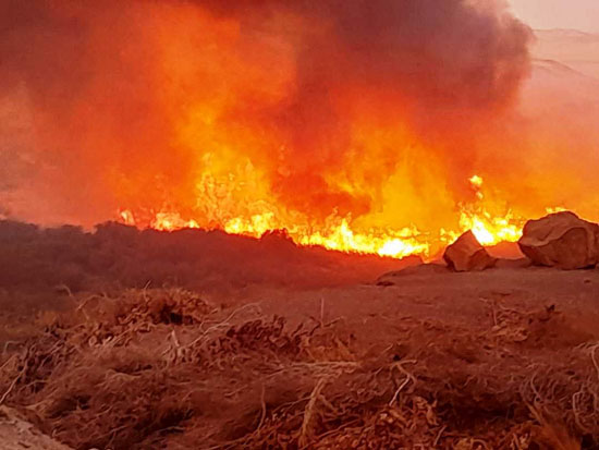 حريق بمحمية سالوجا (1)