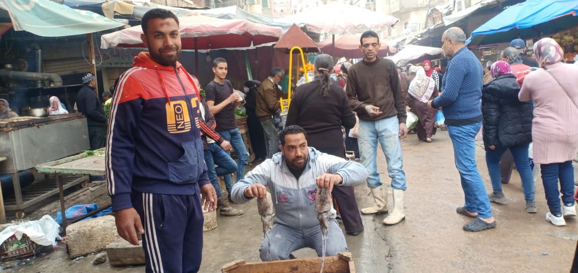 زحمة فى سوق السمك بالإسكندرية قبل رمضان (10)