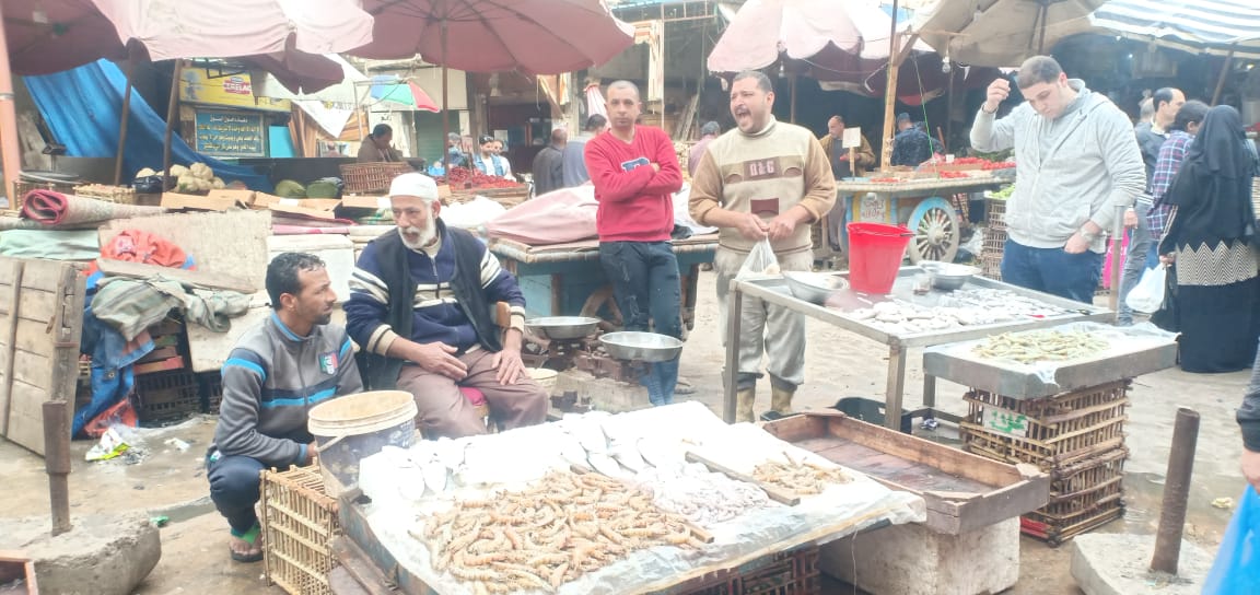 زحمة فى سوق السمك بالإسكندرية قبل رمضان (4)