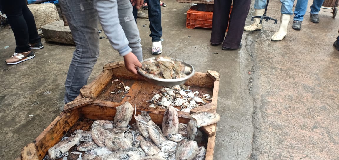 زحمة فى سوق السمك بالإسكندرية قبل رمضان (2)