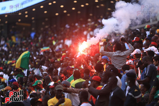 شغب جماهير السنغال