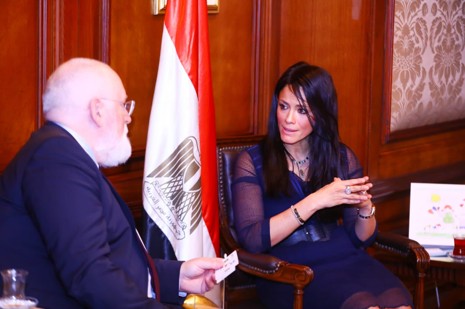 رانيا المشاط (1)