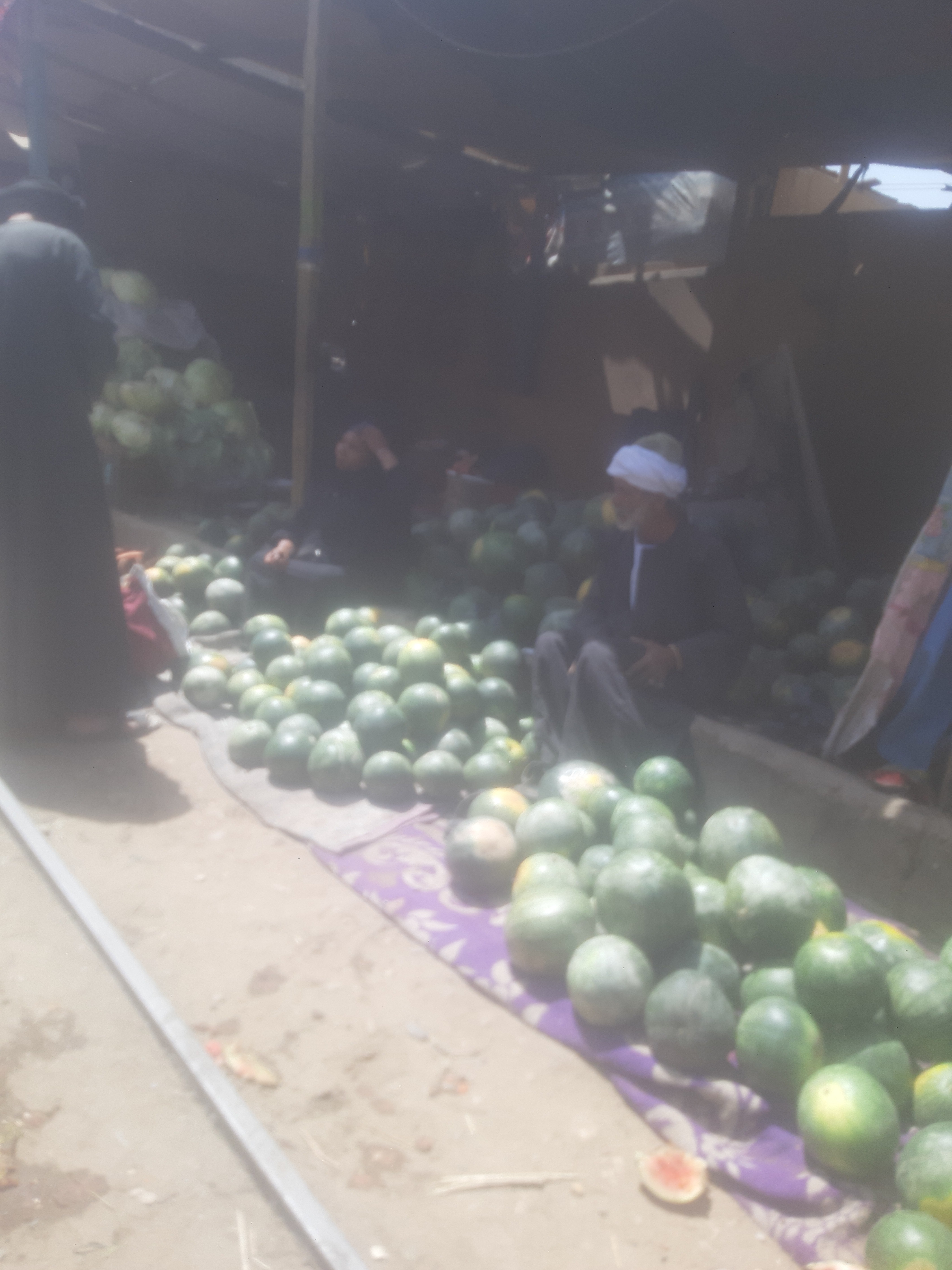 عرض فاكهة البطيخ بسوق كوم امبو