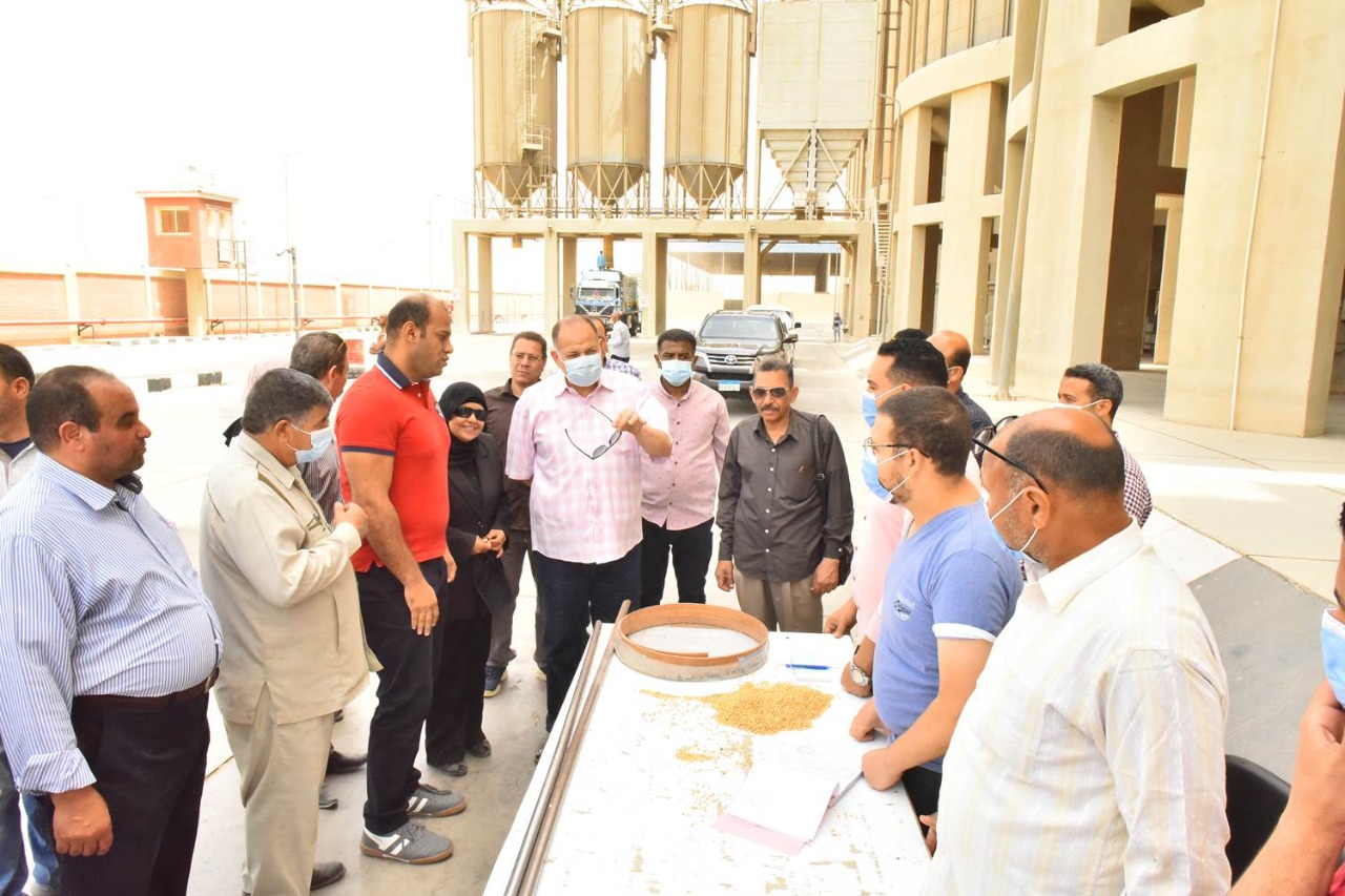 محافظ أسيوط يتابع أعمال توريد القمح بصوامع عرب العوامر (12)