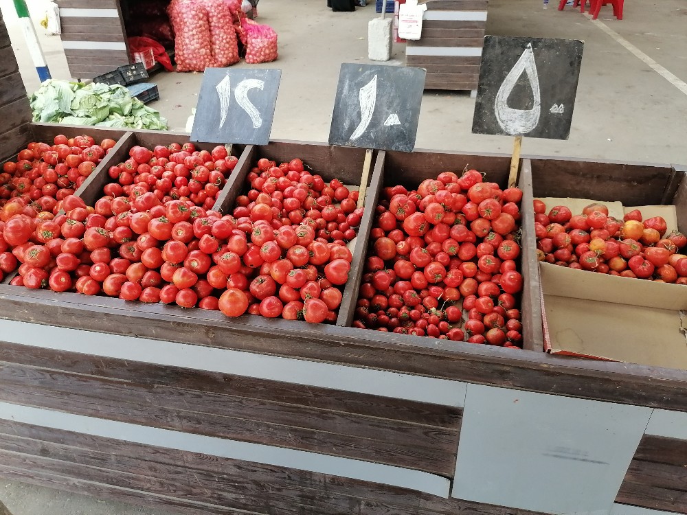 أسعار الطماطم