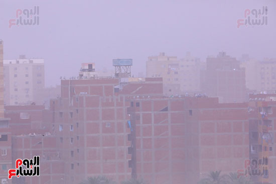 شبورة مائية تغطى سماء القاهرة الكبرى (3)