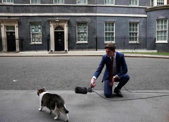 مقدم برامج تلفزيونية يقف بجانب قطة في لندن