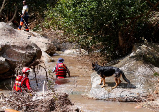 فريق بحث وإنقاذ يستخدم كلبًا للبحث عن جثث في أمبومبولو بالقرب من ديربان (2)